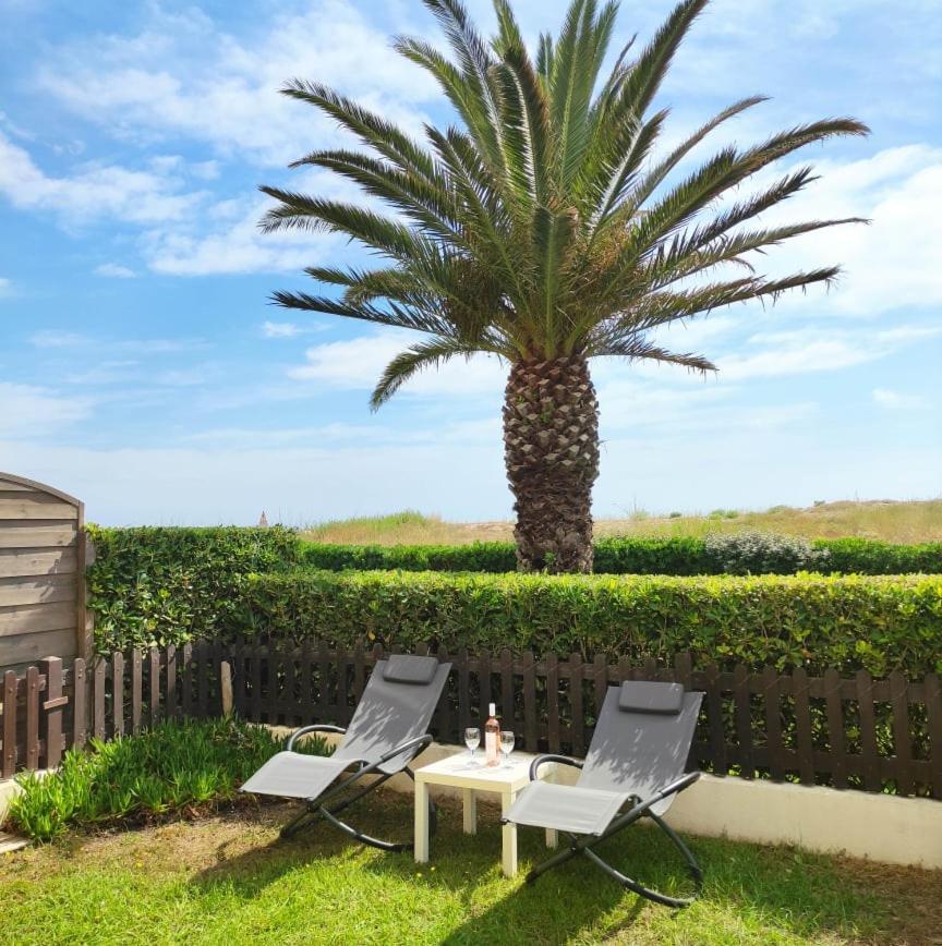 Les Capitelles 5 - Acces Direct A La Plage Depuis Le Jardin - T2 Avec Cabine - 6 Pers - Jardin - Piscine - Parking Saint-Cyprien  Luaran gambar