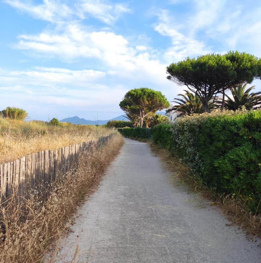 Les Capitelles 5 - Acces Direct A La Plage Depuis Le Jardin - T2 Avec Cabine - 6 Pers - Jardin - Piscine - Parking Saint-Cyprien  Luaran gambar