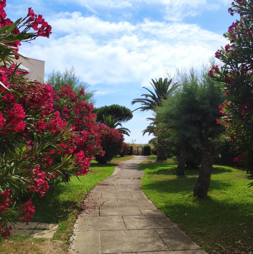 Les Capitelles 5 - Acces Direct A La Plage Depuis Le Jardin - T2 Avec Cabine - 6 Pers - Jardin - Piscine - Parking Saint-Cyprien  Luaran gambar